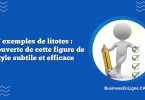 7 exemples de litotes : Découverte de cette figure de style subtile et efficace