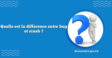 Quelle est la différence entre bug et crash ?